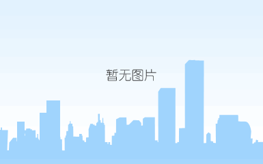 钨钢顶针